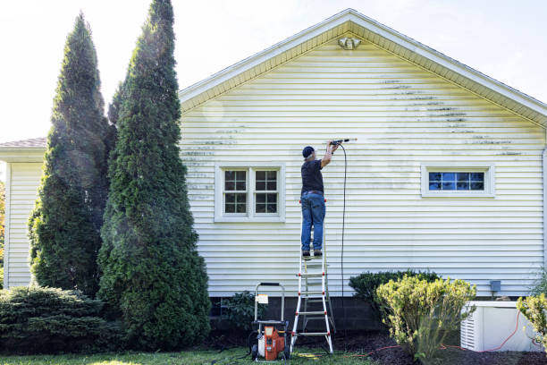 Best Exterior Home Cleaning  in Britt, IA